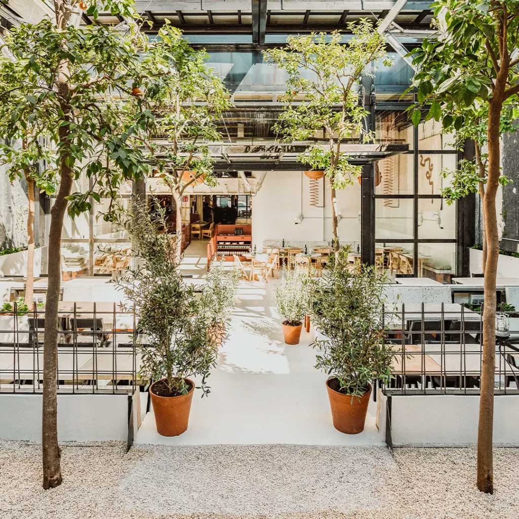 Светъл, модерен вътрешен двор на кафене от Интериорен дизайн Studio28a с дървета в саксии, места за сядане на открито и стъклени врати вътре.