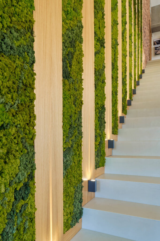 Бяло стълбище с дървени плоскости и акценти на стената от мъх Studio28a, меко осветено - модерен интериорен дизайн в най-добрата му светлина.